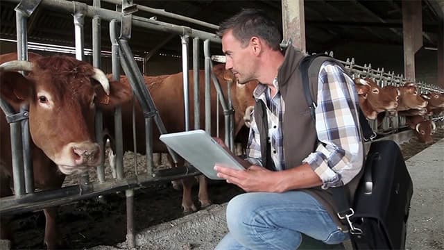 Ceva Sante Animale